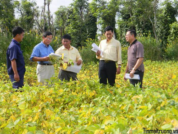 “Ứng[-]dụng[-]công[-]nghệ[-]cao[-]và[-]đồng[-]bộ[-]cho[-]việc[-]bảo[-]toàn[-]và[-]phát[-]triển[-]đậu[-]nành[-]Tây[-]Nguyên”.